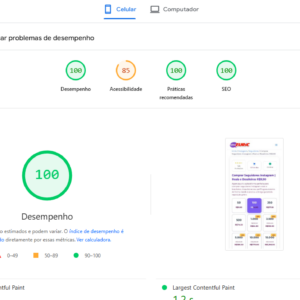 Nota 100 no Google após instalar o plugin de cache.
